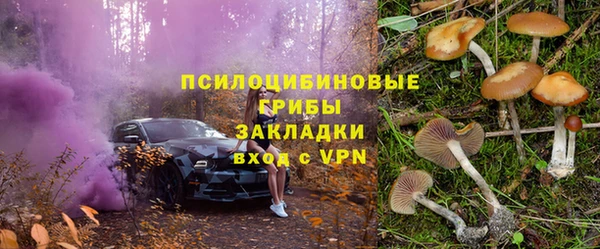 крисы Армянск