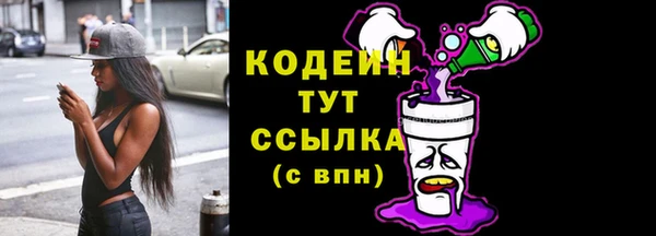 крисы Армянск