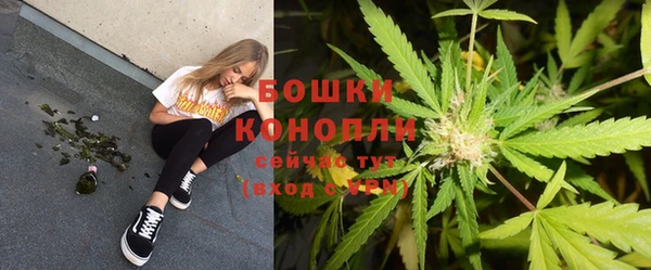 крисы Армянск