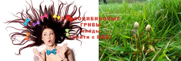 крисы Армянск